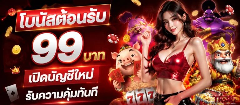 โปรโมชั่น tig26